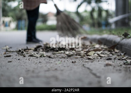 Une femme asiatique qui balayent les feuilles sèches par la route dans le jardin extérieur. Concept de nettoyage. Banque D'Images