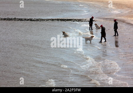 Drochtersen Krautsand, île, Basse-Saxe, Allemagne, Europe, compositing, Banque D'Images