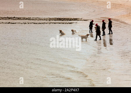 Drochtersen Krautsand, île, Basse-Saxe, Allemagne, Europe, compositing, Banque D'Images