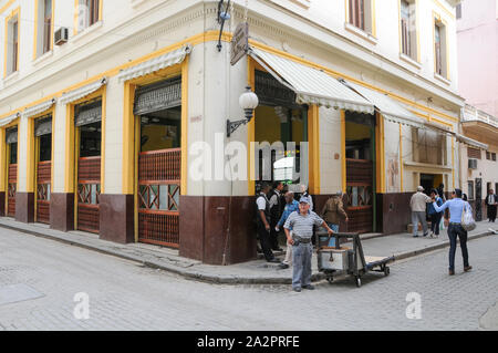 La lluvia de Oro, La Havane, Cuba Banque D'Images