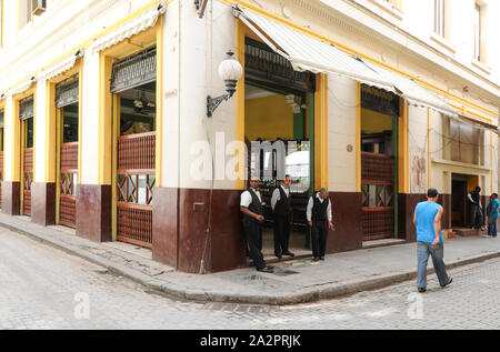 La lluvia de Oro, La Havane, Cuba Banque D'Images