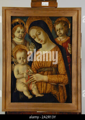 Matteo di Giovanni di Bartolo, Italien, ca. 1430-1495, Vierge à l'enfant avec des anges, 15e siècle, tempera sur toile, non monté : 27 1/2 × 19 3/4 po (69,9 × 50,2 cm Banque D'Images