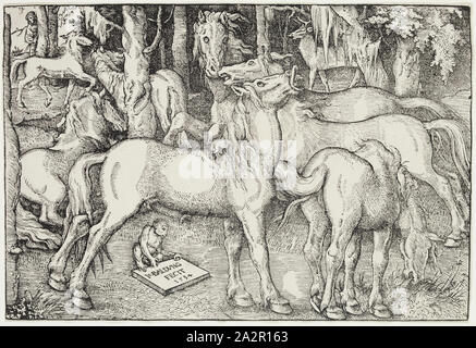 Hans Baldung Grien, allemand, 1484-1545, groupe de sept chevaux, 1534, gravure sur bois imprimée dans l'encre noire sur papier vergé, de droit : 8 5/8 x 12 7/8 pouces (21,9 × 32,7 cm Banque D'Images