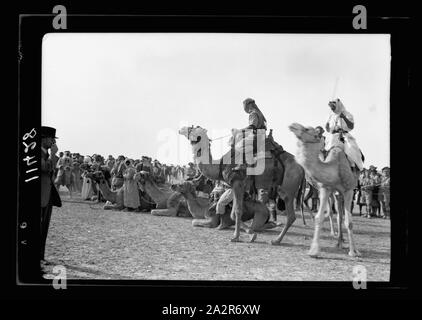 Réunion de courses (horse & Camel). Beer Schéba. Les chameaux ont défilé avant la course Banque D'Images