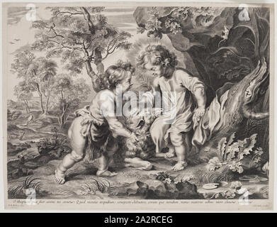 L'Aîné Cornelis Galle, flamand, 1576-1650, après Peter Paul Rubens, flamand, 1577-1640, le Christ et Saint John en jouant avec un agneau, entre 1632 et 1650, gravure imprimée dans l'encre noire sur papier vergé, plaque : 13 1/4 × 17 5/8 pouces (33,7 × 44,8 cm Banque D'Images