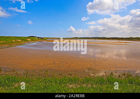 Réserve de la RSPB, Titchwell, sur la côte de Norfolk, Royaume-Uni Banque D'Images