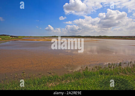 Réserve de la RSPB, Titchwell, sur la côte de Norfolk, Royaume-Uni Banque D'Images