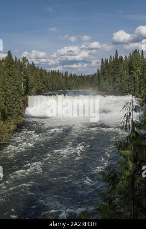Dawson Falls sur la rivière Murtle dans le parc provincial Wells Gray, British Columbia, Canada. Banque D'Images