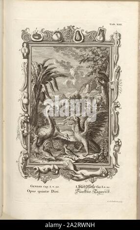 Cinquième jour de travail 2, titre parallèle : Fünftes Tagwerck ; cinquième Tagwerk, signé : J. A. Fridrich, sculptures sur la gravure sur cuivre, pl. XIII (vol. 1), Füssli, Johann Melchior ; Fridrich, Jacob Andreas (couche externe.), 1731, Johann Jakob Scheuchzer : Kupfer-Bibel (...). Augspurg und Ulm : gedruckt bey Christian Ulrich Wagner, 1731-1735 Banque D'Images