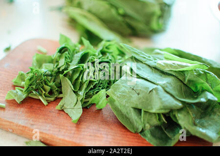 Les jeunes tranches d'oseille verte pour le borscht et salade se trouve sur une planche à découper, de style rustique, le matin dans la lumière du soleil. Copier l'espace. Banque D'Images