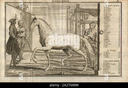 Kavallerie, physique d'un cheval, la gravure sur cuivre, Pl. 1, p. 427, 1742, François Robichon de La Guerinière : Manuel de cavalerie, où l'on enseigne d'une manière courte & facile la conoissance du cheval, l'embouchure, la ferrure la selle, &c., la manière de dresser les chevaux [...]. A La Haye : Chez Jean van Duren, [1742 Banque D'Images