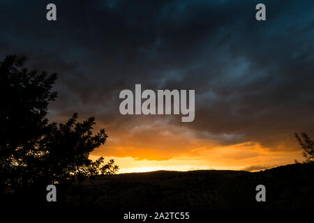 Paysage d'un coucher de soleil où le soleil semble se cacher derrière l'horizon avec quelques arbres qui sont taillés en contre-jour sur un beau ciel nuageux. Banque D'Images