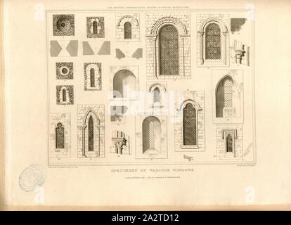 Les spécimens de différentes fenêtres, plusieurs vitraux, signé : dessiné par J. A. Repton ; Etch'd par J. Le Keux ; publié par Longman & Co, fig. 76, p. 260 après, Repton, John Adey (dessin) ; Keux, John Le (eau-forte) ; Longman & Co., 1819 (publié), John Britton : Les antiquités architecturales de Grande-bretagne : représentés et illustré dans une série de vues, élévations, plans, coupes et détails de divers édifices anglais ancien : historique et descriptive avec comptes de chacune. Bd. 5. Londres : J. Taylor, 1807-1826 Banque D'Images