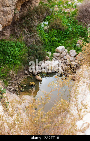 Flaque d'eau avec des pierres dans le désert d'israël Banque D'Images