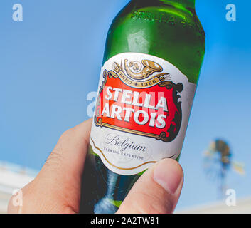 Photographie d'un homme tenant une bouteille de bière à partir de la société belge Stella Artois. Banque D'Images