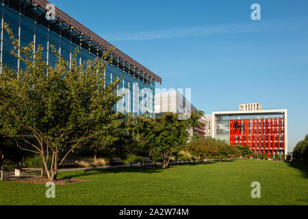 Bâtiment de l'Université de Birmingham, Birmingham, UK 2019 Banque D'Images