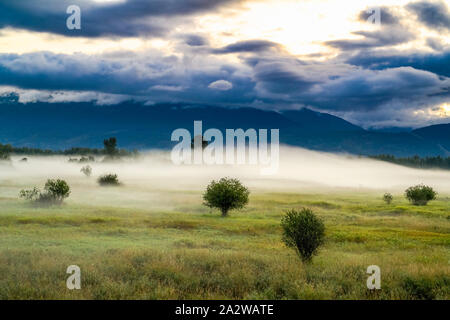 Dans le brouillard matin, Creston Valley, British Columbia, Canada Banque D'Images