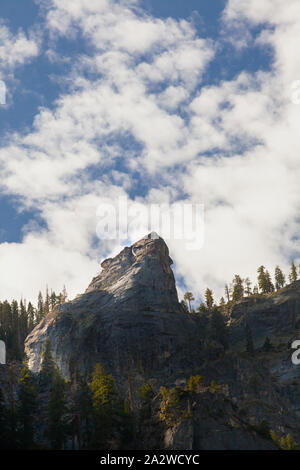 Formations granitiques en forme d'un ours avec des pins entourant et ciel bleu dans la vallée de Yosemite, Californie Banque D'Images