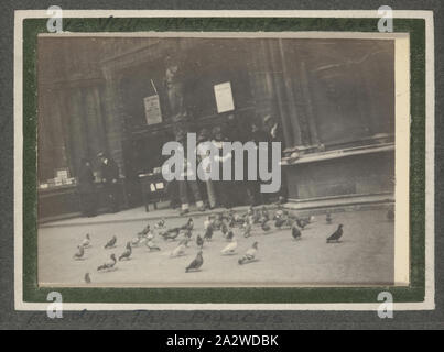 Photographie - Nourrir les oiseaux, l'abbaye de Westminster, Londres, le cavalier George Simpson Millar, la Première Guerre mondiale, 1915, photographie dans un album qui appartenait à un conscrit dans le 5ème Australian Light House pendant la Première Guerre mondiale. L'album contient 103 petites photographies en noir et blanc, principalement de Gallipoli en 1915 et certains de la France et de la Belgique. Ils sont soupçonnés d'avoir été pris par le Cavalier George Simpson Millar, service no. 160, 'A' la troupe, l'Escadron 'C', 5ème Australian Light Horse Regiment Banque D'Images