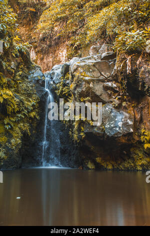 Cascade de Parque Natural da Ribeira dos Caldeiroes, Sao Miguel, Açores, Portugal Banque D'Images