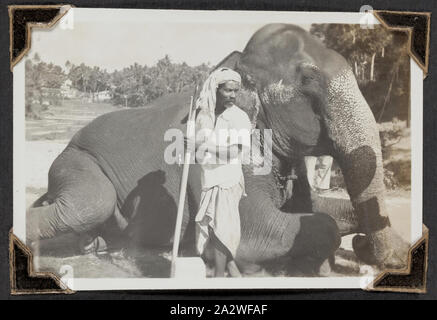 Elephant man avec plus grande famille palmer éléphant voyage migrants sri Lanka 14 mars 1947 Banque D'Images