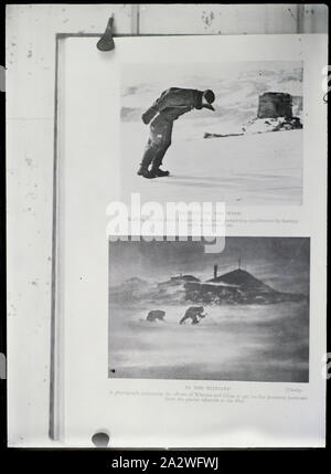 Négatif sur verre - Copie, "s'appuyant sur le vent' et 'Blizzard', dans l'expédition Antarctique australasienne (AAE), l'Antarctique, 1911-1914, noir et blanc, Négatif sur verre qui est une copie d'une page à partir de Sir Douglas Mawson's book 'Blizzard' de l'accueil. L'une des 328 images dans divers formats, y compris des œuvres d'art, des photographies, diapositives et négatifs sur verre Banque D'Images