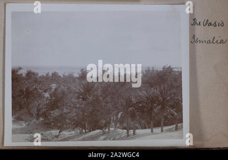 Photographie - 'l'Oasis, Ismalia', l'Égypte, le capitaine Edward Albert McKenna, la Première Guerre mondiale, 1914-1915, l'une des 139 photos dans un album à partir de la Première Guerre mondiale, susceptibles d'avoir été prise par le capitaine Edward Albert McKenna. Les photos : le 7e Bataillon de la formation dans le Camp Mena, l'Égypte, et des visites. Image représentant une oasis dans le désert près d'Ismaïlia, Egypte. En fonction de ses journaux de guerre, le 7e bataillon reçoit l'ordre d'aller à Ismaïlia le 2 février 1915 Banque D'Images