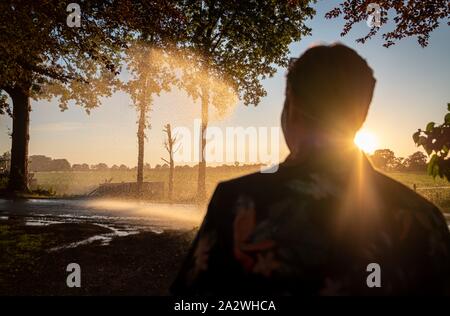 Silhouette d'irrigation agricole arrosage système de blé au coucher du soleil. L'irrigation en utilisant le champ de système de gicleurs à pivot central. Amsterdam, Th Banque D'Images