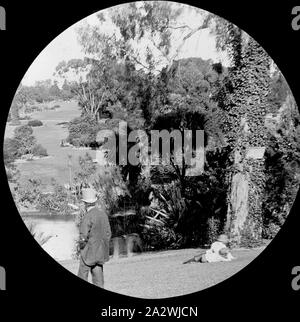 Diapositive - Royal Botanic Gardens, Melbourne, Victoria, 1870, image en noir et blanc de la Royal Botanic Gardens de Melbourne prise par un photographe inconnu Banque D'Images