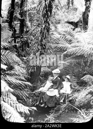 Diapositive - fougères arborescentes, Dandenongs, Victoria, date inconnue, image en noir et blanc d'une femme et deux enfants assis parmi les fougères arborescentes des Dandenongs Banque D'Images