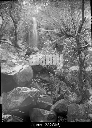 Diapositive - Waterfall, Victoria, date inconnue, image en noir et blanc d'une chute sur une falaise rocheuse en cascade photographié face à Victoria par A.J. Campbell. C'est l'une des nombreuses diapositives sur verre qui forment l'A.J. Campbell Collection détenus par les musées Victoria Banque D'Images