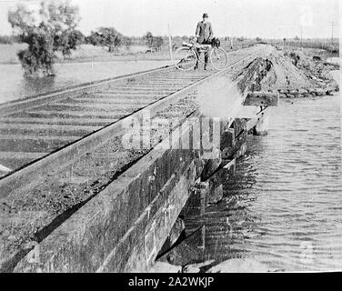 Négatif - District de Mildura, Victoria, vers 1920, un homme avec un vélo posé sur un pont de chemin de fer. Les eaux du fleuve sont très élevées - c'était peut-être pendant une période d'inondation. Un arbre partiellement submergé est visible dans l'arrière-plan Banque D'Images