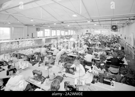 Négatif - travailleuses du textile Vêtements Couture employés sur des machines à coudre industrielles, 1950, Noir et blanc négatif 5 x 4 montrant un très grand groupe de travailleuses du textile vêtements couture sur machines à coudre industrielles dans un grand atelier à une usine textile dans les années 50. La Collection Laurie Richards à Museum Victoria comprenant environ 85 000 négatifs pris par la base Melbourne Laurie Richards Studio entre les années 1950 -1970p Banque D'Images