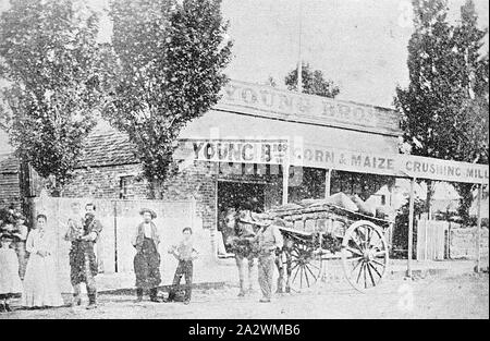 - Négatif et personnel de la famille à l'extérieur de jeunes frères Maïs Maïs & moulin à broyer, Ballarat East, Victoria, vers 1865, la famille et le personnel à l'extérieur de jeunes frères, le maïs et le maïs écraser Mill. Il y a un véhicule tiré par des chevaux en face de l'immeuble Banque D'Images