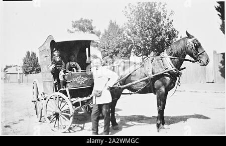 Négatif - deux enfants et un livreur avec Baker's Horse & Panier, Ballarat, Victoria, vers 1930, un boulanger du cheval et panier avec la prestation homme debout à côté du cheval et deux enfants assis dans le panier Banque D'Images