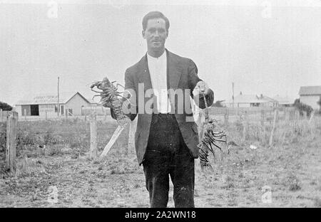 Négatif - Homme tenant deux homards, District de Warrnambool, Victoria, vers 1925, un homme tenant deux homards. Il y a des maisons dans l'arrière-plan Banque D'Images