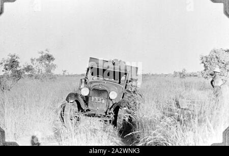 - Négatif, Tanami Territoire du Nord, 1937, un camion est apparemment bloquée dans de profondes ornières sur une piste à travers les hautes herbes Banque D'Images