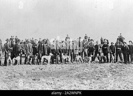 Négatif - Collines de moutons, Victoria, vers 1910, les lévriers et les hommes à une réunion de courses Banque D'Images