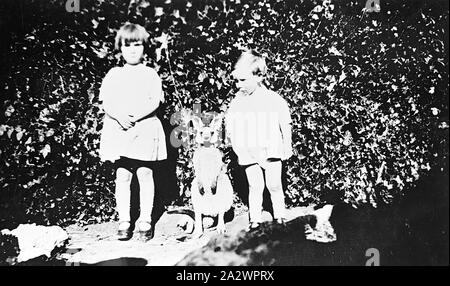 Négatif - Manangatang, Victoria, vers 1930, une jeune fille et garçon avec leur animal de kangaroo Banque D'Images