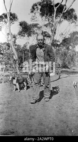 Négatif - Manangatang, Victoria, vers 1930, un homme qui marche vers le photographe. Il est accompagné de ses chiens Banque D'Images