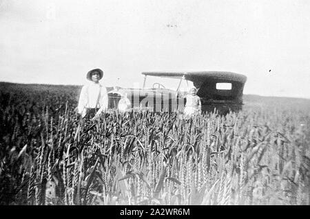 Prooinga - Négatif, Victoria, vers 1935, un jeune garçon debout devant une voiture dans un champ de blé. Une petite jeune fille se tient sur le marchepied de la voiture Banque D'Images