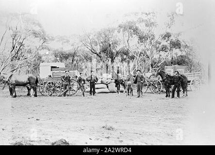 Négatif - Sea Lake, Victoria, vers 1900, les hommes avec les chariots et les chevaux Banque D'Images