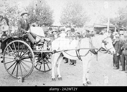 Négatif - A.F. Panier de produits laitiers Warne, Quarry Hill, Bendigo, Victoria, 1908, Cheval et panier de produits laitiers d'A.F. La carrière de Warne Hill dairy Banque D'Images