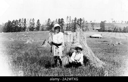 - Négatif Hurstbridge District, Victoria, vers 1915, une jeune fille et un garçon en face de certains moyettes. Il y a une maison de ferme dans la distance Banque D'Images