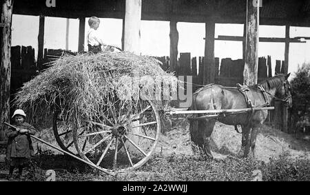 Négatif - Bairnsdale District, Victoria, vers 1915, un garçon en haut d'une charge d'un chariot de foin. Un deuxième enfant se tient derrière le chariot Banque D'Images