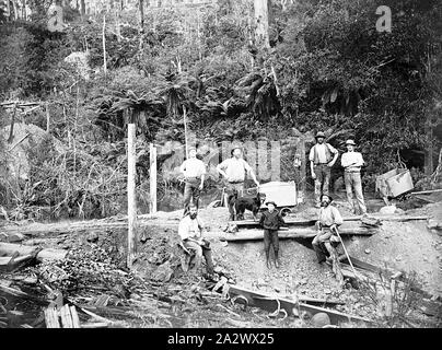 Eldorado - Négatif, district de Victoria, vers 1890, un groupe de mineurs à la mine Banque D'Images