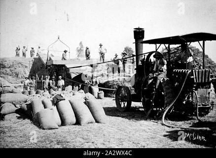 Négatif - District de Wangaratta, Victoria, vers 1915, à l'opération de la batteuse Banque D'Images