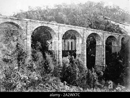 Négatif - Emu Plains District, New South Wales, 1878, le viaduc sur sac à dos sur le Gully 'Zig Zag Railway Banque D'Images