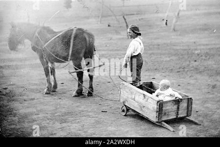 Négatif - Victoria, vers 1915, un garçon et un bébé dans un chariot. Le panier semble être une brouette mais est attaché à la roue de cheval à la fin avec les poignées traînant sur le sol derrière Banque D'Images