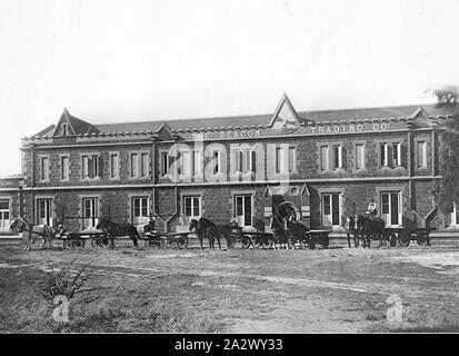 Négatif - Geelong, Victoria, vers 1920, les chariots de livraison en face de la balise Trading Company Banque D'Images